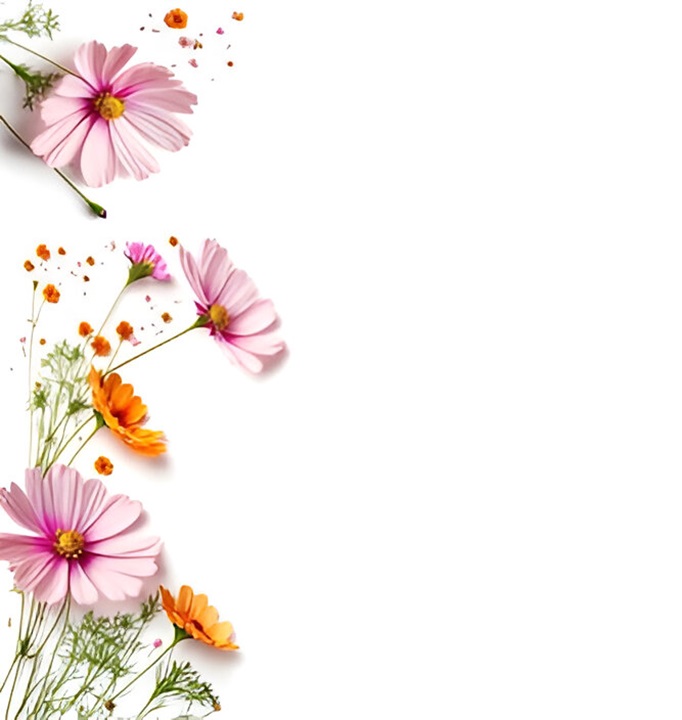 Background Image-Discover Luxe Beauty Parlour